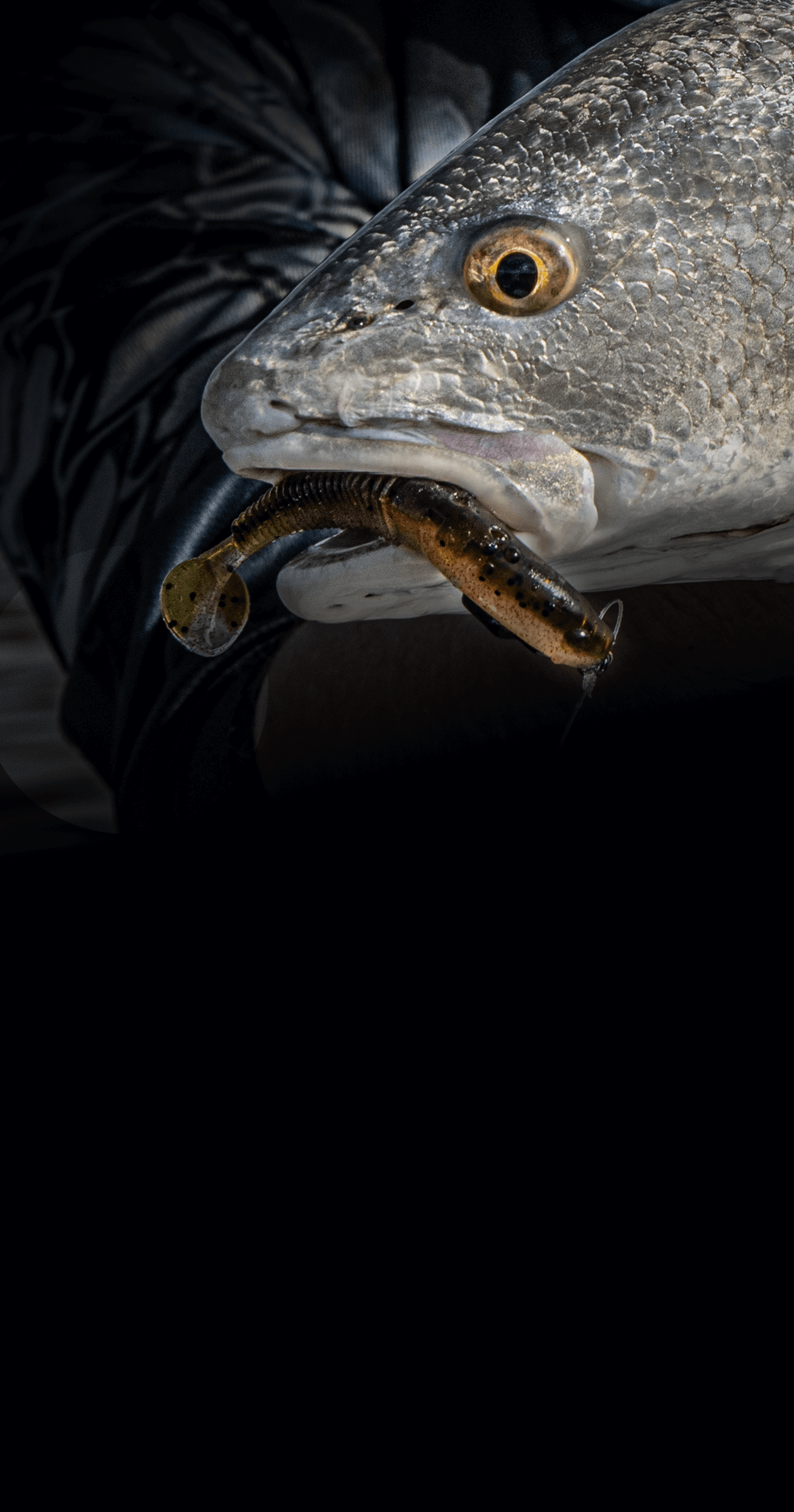 Mobile Slide Header Fishing Products